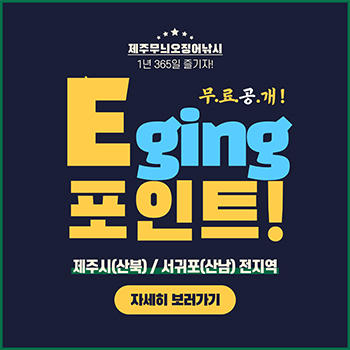 제주무늬에깅포인트무료공개